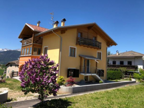 Casa Elisa Apartments Sarnonico